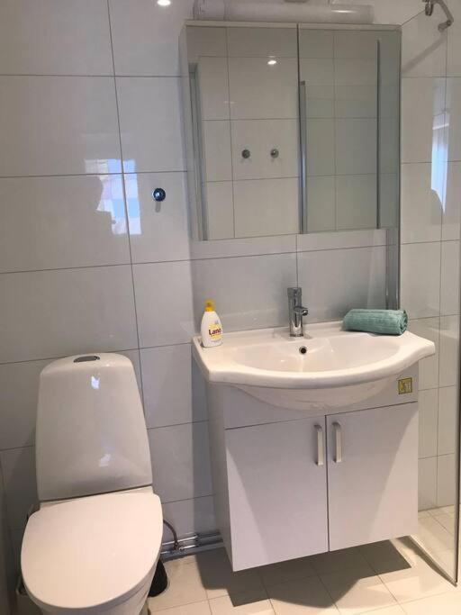 Larvik Appartment In The City المظهر الخارجي الصورة